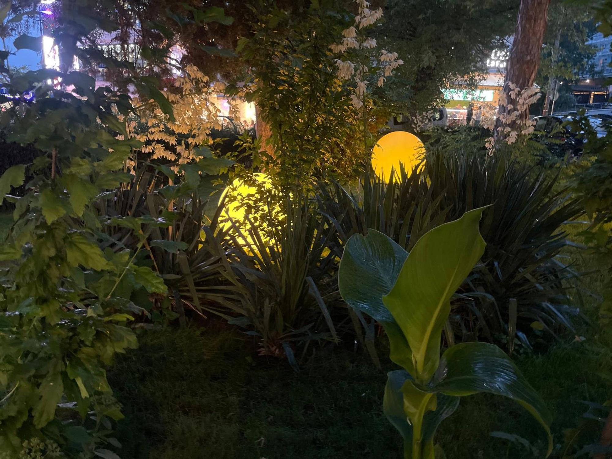 אפורי נורד Hotel Carmen מראה חיצוני תמונה