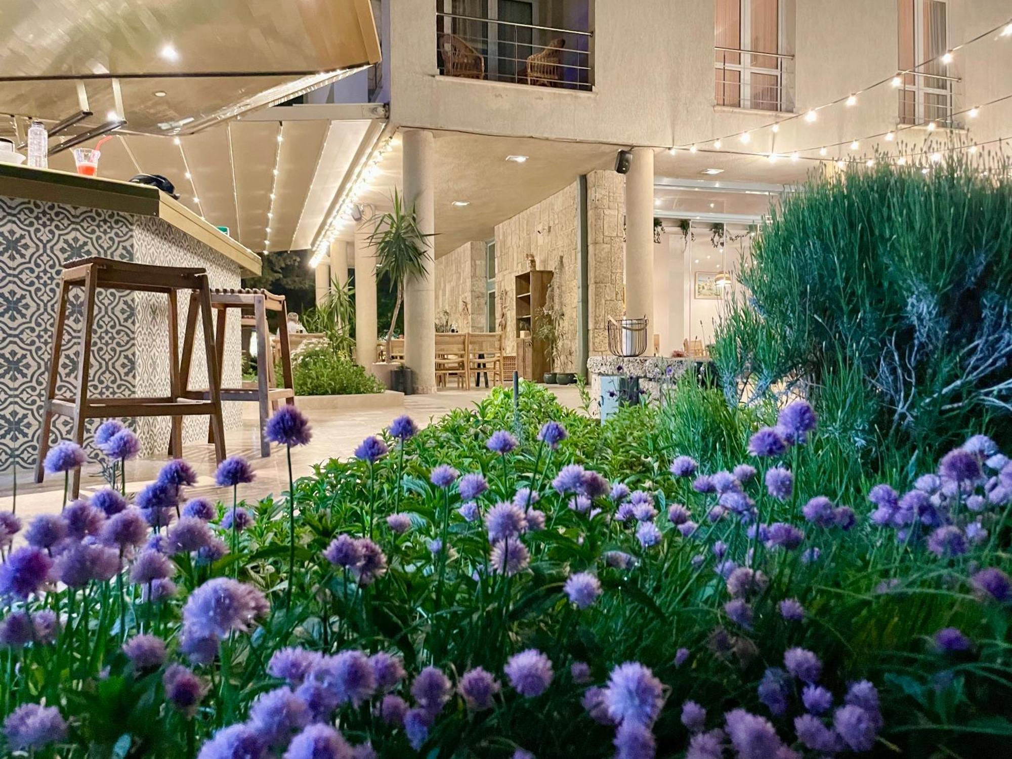 אפורי נורד Hotel Carmen מראה חיצוני תמונה