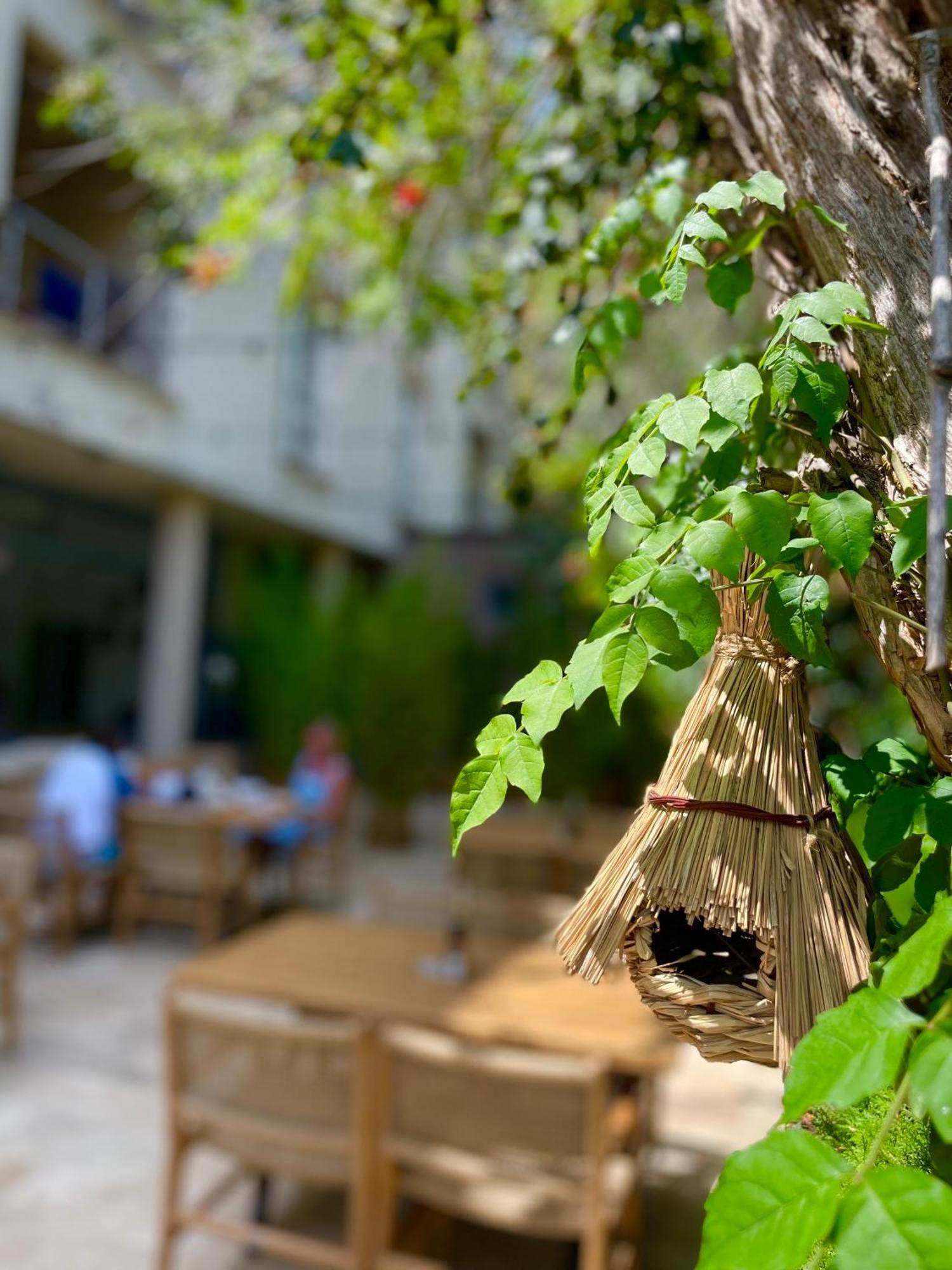 אפורי נורד Hotel Carmen מראה חיצוני תמונה